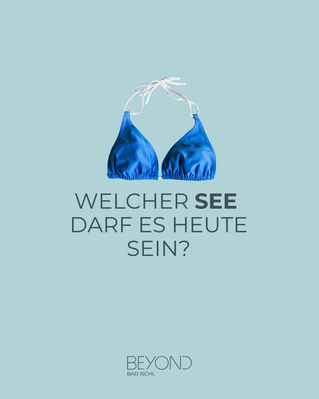 RE/MAX Traunsee – Projektmotiv