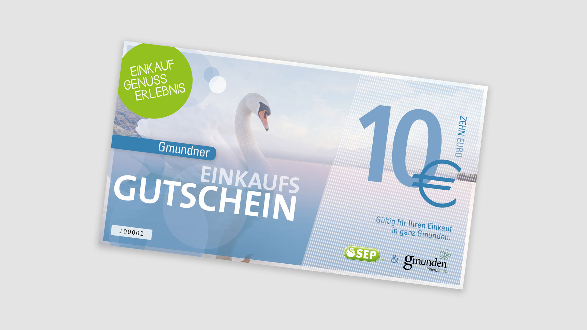Stadt Gmunden – Projektmotiv